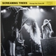 Screaming Trees - Change Has Come EP